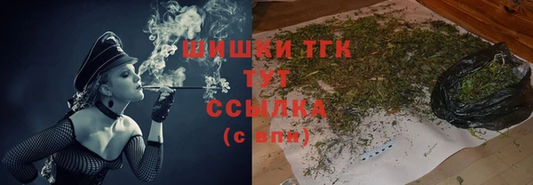 тгк Аркадак