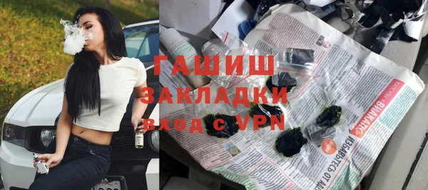 индика Карпинск