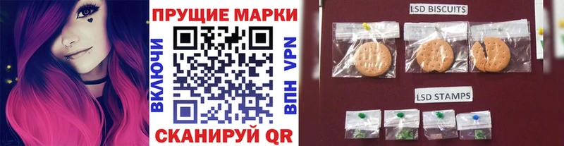 где купить   Починок  Марки N-bome 1500мкг 
