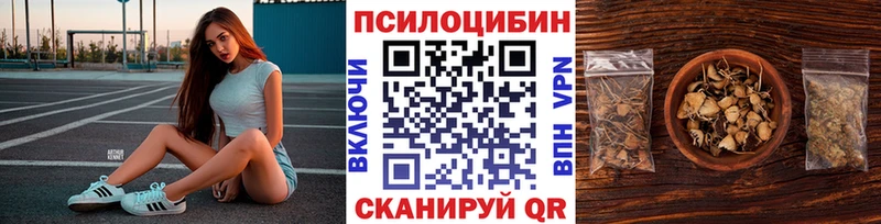 нарко площадка формула  Починок  Галлюциногенные грибы Magic Shrooms 